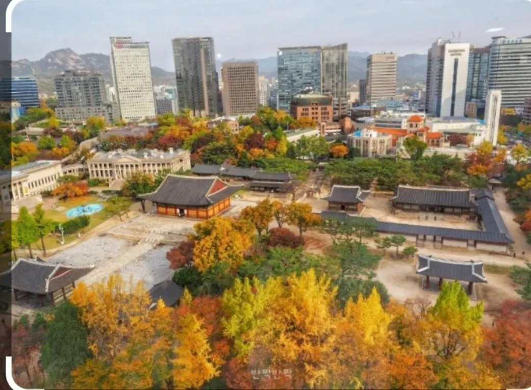 Sky House, Seoul Daire 0*,